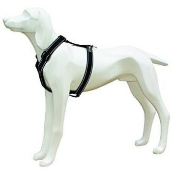 Freedog FD4002620 - Arnés Nylon Reflectante, para Perro, Color Negro