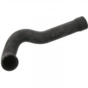 Tubería de Radiador Inferior Derecha FEBI BILSTEIN 37130