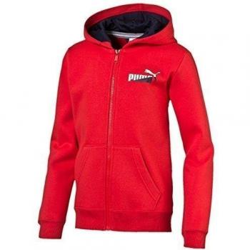 Puma Fun TD Graphic Hooded t Fleece - Sudadera con capucha para niño, color rojo, talla 164 cm