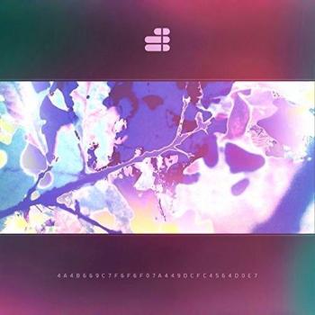 Fragmented Consciousness