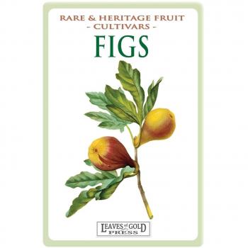 Figs: Rare and Heritage Fruit Cultivars #13: Volume 13
