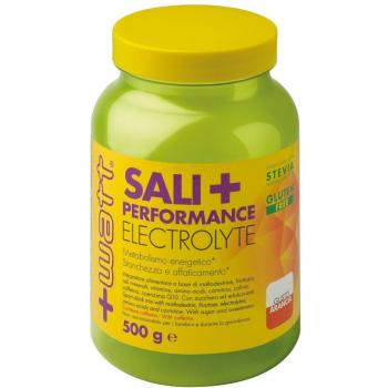 +WATT SALI + PERFORMANCE 500 GR Arancia