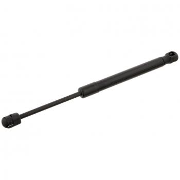 Muelle neumático FEBI BILSTEIN 28034 para cristal trasero (ambos lados)