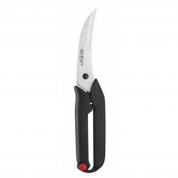 Zwilling 42913-001 - Tijera para aves, hoja endurecida al frío Friodur, 255 milímetros, acero inoxidable