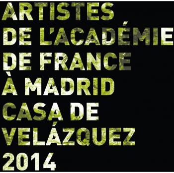 Artistes de la Casa de Velázquez. Académie de France à Madrid 2014