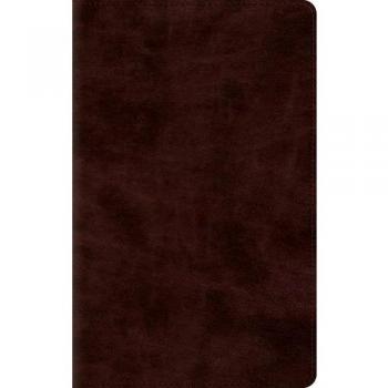 ESV Thinline Bible