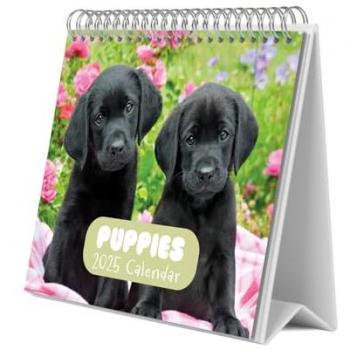 Calendario de escritorio 2025 Dogs Simon K. & Greg C. Erik multicolor - Base resistente, planificador mensual con espacio para anotar y vista mensual global