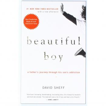 Beautiful Boy: A Father's Journey Through His Son's Addiction
