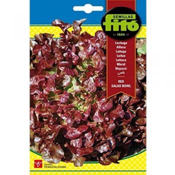Semillas Fitó 6519 - Semillas de Lechuga Red Salad Bowl