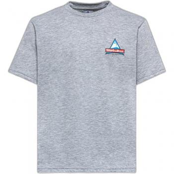 Holubar JJ20 Logo T-Shirt - Gray, Men's Size S