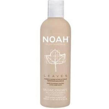 Noah Acondicionador con Hojas Hiedra y Aceite Almendras 250ml