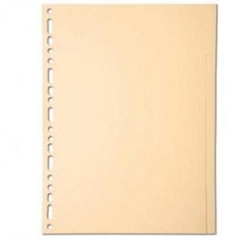 Separador Exacompta de cartulina A4 con 10 pestañas, color crema