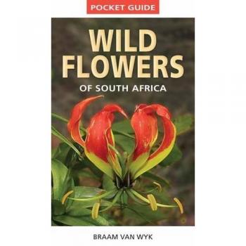 Pocket Guide: Wild Flowers of South Africa