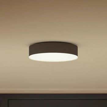 Philips Hue Enrave Lámpara de techo LED 26,1 cm negro