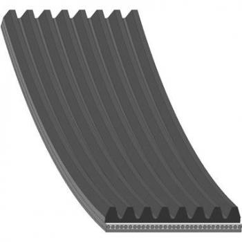 Correa trapecial poli V FEBI BILSTEIN 101065
