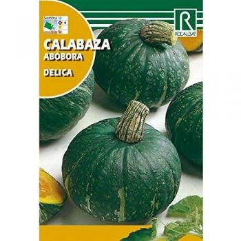 Semilla Calabaza Delica