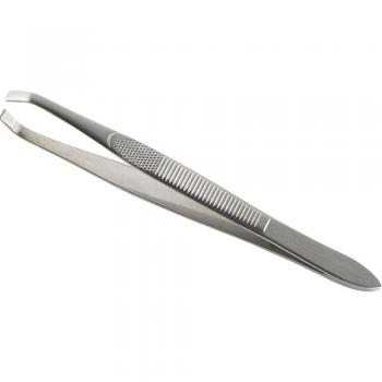Pinzas de Metal Avril con Diseño de Mandíbulas de Cangrejo