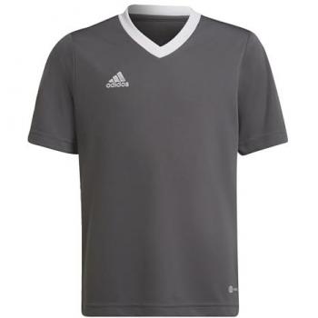 Maillot adidas Junior Entrada 22 Gris Corto Unisex