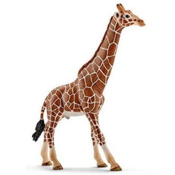 Schleich- Figura de Jirafa Macho, Color Marrón, 17cm