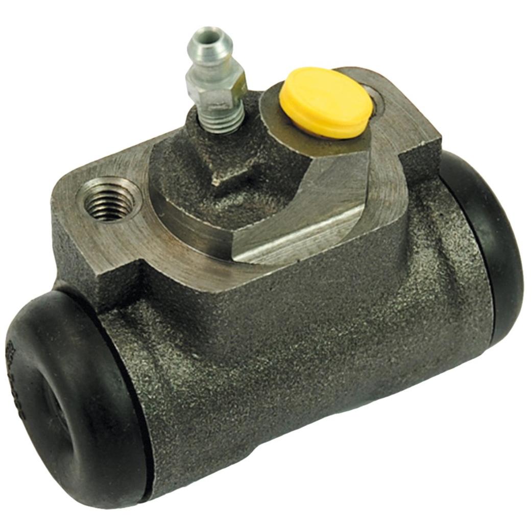 Imagen Principal