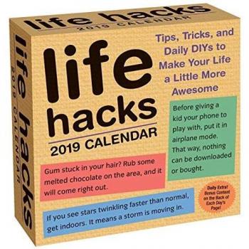 Life Hacks 2019 Day-to-Day Calendar