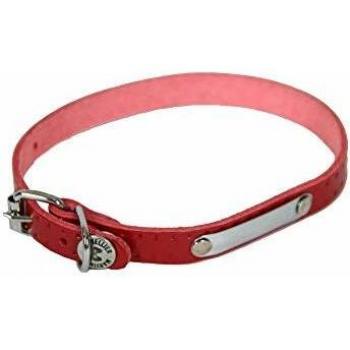 Collar de cuero para perro con babero Martin Sellier Rive