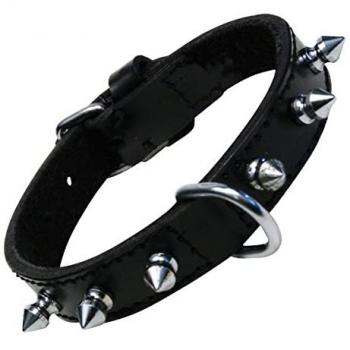 Collar para Perro Gloria Negro con Pinchos 35 cm