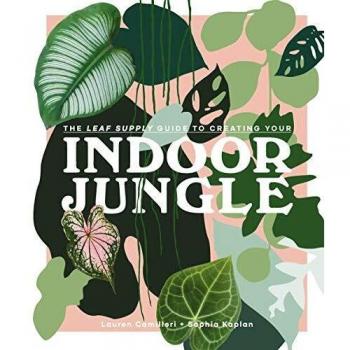 Indoor Jungle