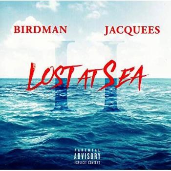 Lost At Sea 2 - Birdman
