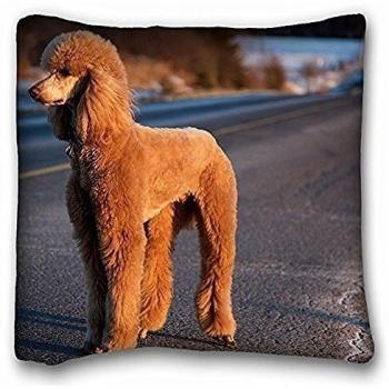 Manta cuadrada decorativa Funda de almohada de animales perro caniche S Road Trip 18 en x 18 en dos lados