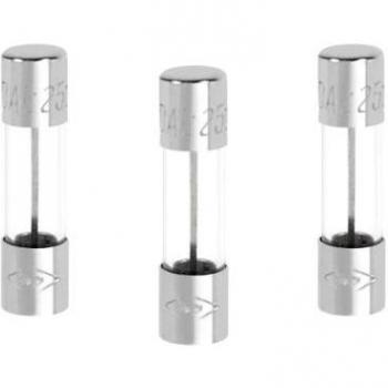 Juego de 3 fusibles de vidrio 10A, 5x20 mm, rápido 250V