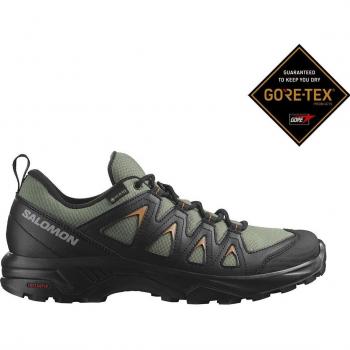 Zapatillas de montaña Salomon X Braze GTX