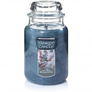 Yankee Candle de eucalipto 22-ml vela en tarro, tamaño grande