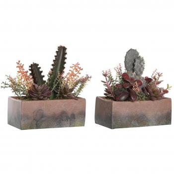 Planta Decorativa DKD Home Decor 19 x 9 x 22 cm Rosa Naranja Cactus Goma Eva Polipropileno (2 Unidades)