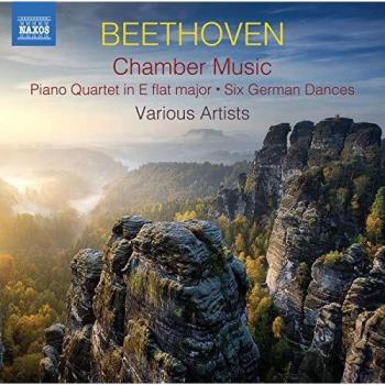 NAXOS Beethoven: Música de Cámara (CD)