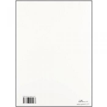 Cuaderno De Prácticas De Programación En Cg En El Cauce Clásico
