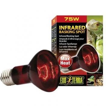 EXO TERRA Infra-Rojo Nocturno Heat GLO, 75 W