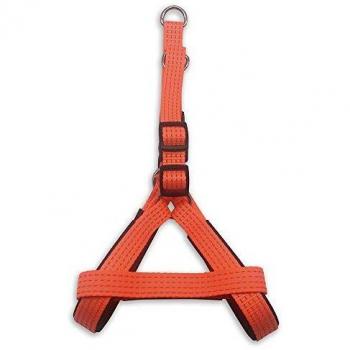 Arquivet Arnés para perro naranja - 2,5 x 55-75 cm