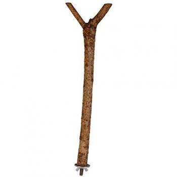 Trixie Natural Living Y Shape Perch, 35 cm x 18 mm Diameter