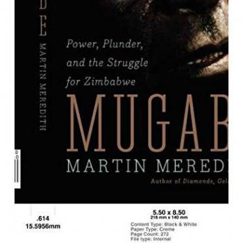 Mugabe: Power, Plunder, and the Struggle for Zimbabwe's Future