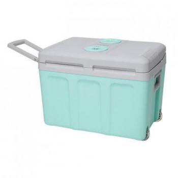 Nevera Portátil Eléctrica Eza 40 L - Refrigerador termoeléctrico, Capacidad de 40 litros, Compatible con enchufe UE