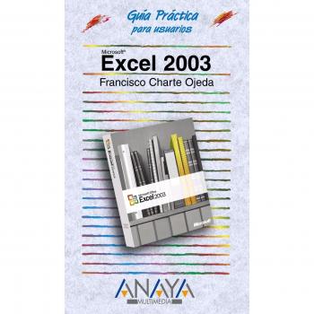 Excel 2003