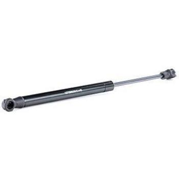 RIDEX 219G0071 Amortiguador para portón Trasero