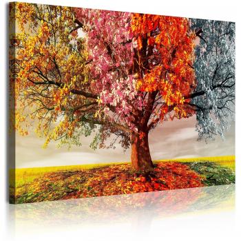 DekoArte 337 - Cuadro moderno en lienzo 1 pieza paisaje en árbol cuatro estaciones, 120x3x80cm