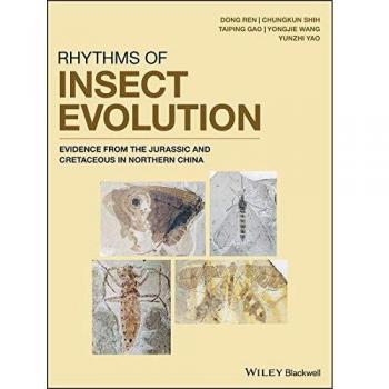 Rhythms of Insect Evolution: Evidence from the Jurassic and Cretaceous in Northern China