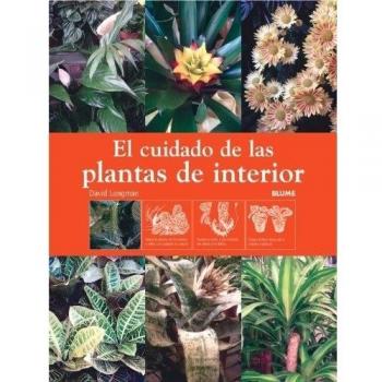 El cuidado de las plantas de interior