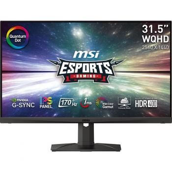 MSI MAG 321QR-QD 31.5 LED IPS WQHD 170Hz G-Sync Compatible Monitor