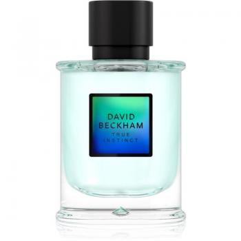 David Beckham - True Instinct Eau de Parfum (75ml)