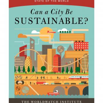 State of the World Paperback