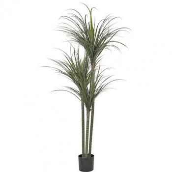 Planta artificial Dracaena Anita en maceta para interior, 198 cm de altura, decoración de plástico